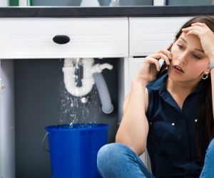 About The Faucet Pros Waverly, NY